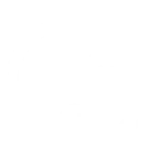 Customer Satisfaction Scores icon