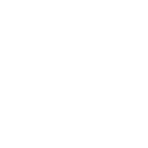 E-Commerce Mapping icon