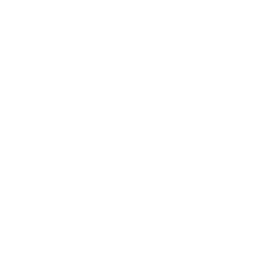 Retail Bridging icon