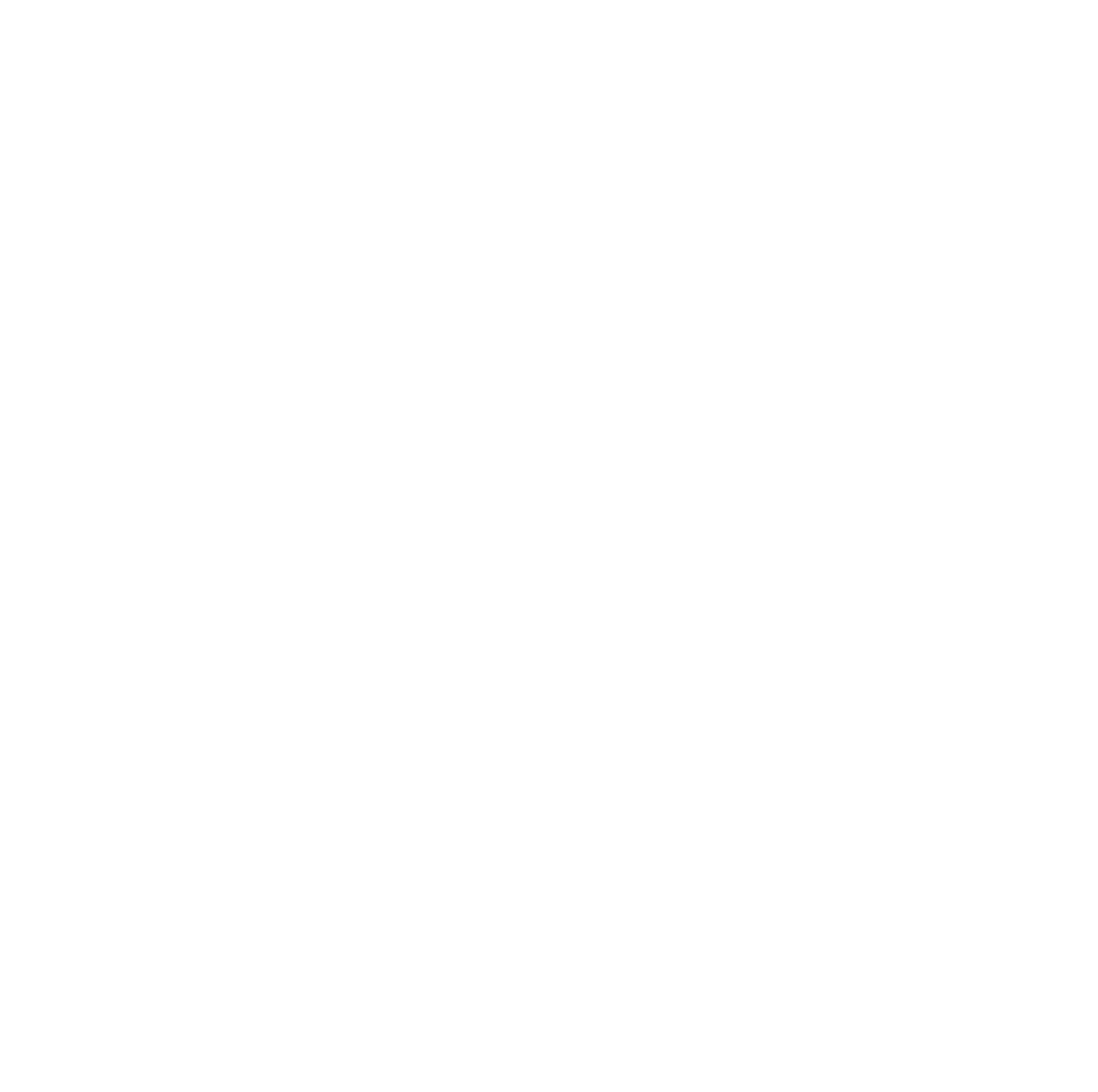 Sarcasm Detection icon